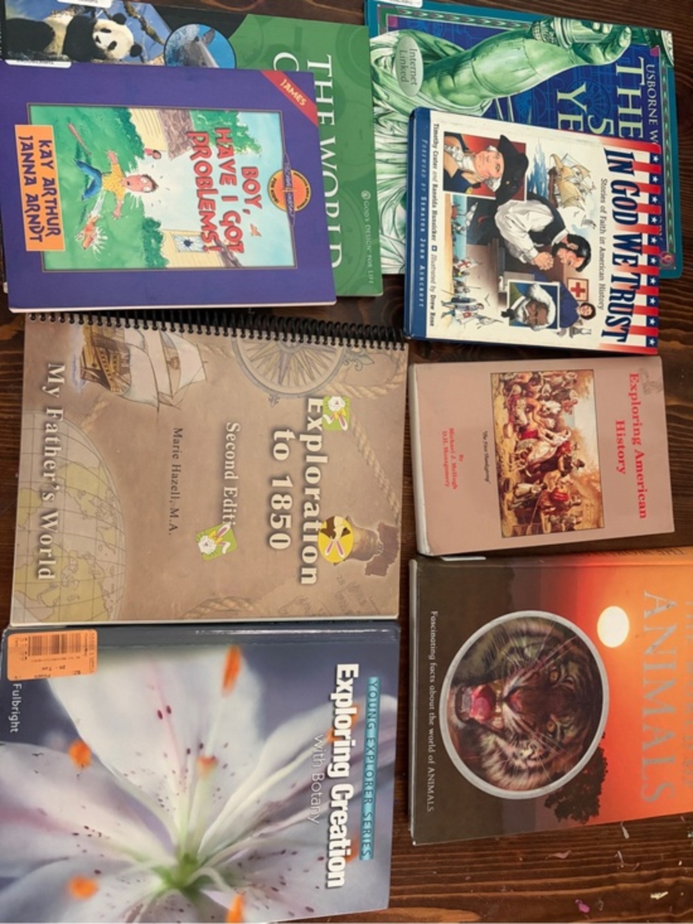 MFW my fathers world exploration to 1850 curriculum